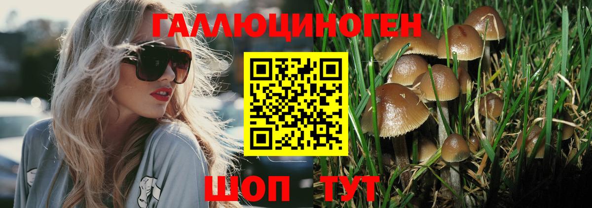 Советская Гавань  Псилоцибиновые грибы мицелий  Вход с VPN  Галлюциногенные грибы Cubensis 